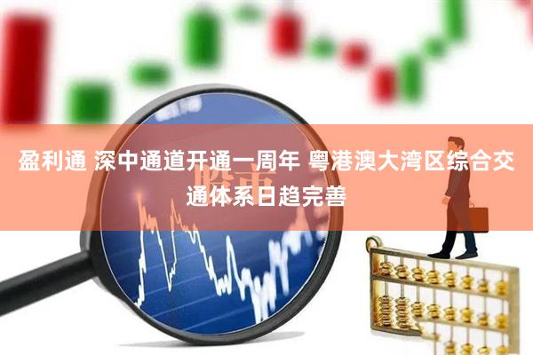 盈利通 深中通道开通一周年 粤港澳大湾区综合交通体系日趋完善