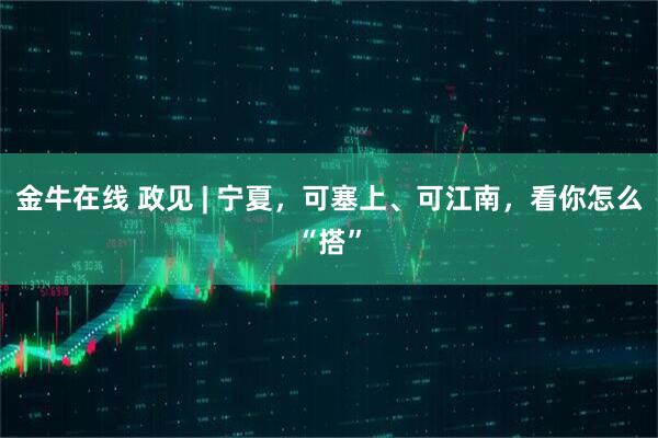 金牛在线 政见 | 宁夏，可塞上、可江南，看你怎么“搭”